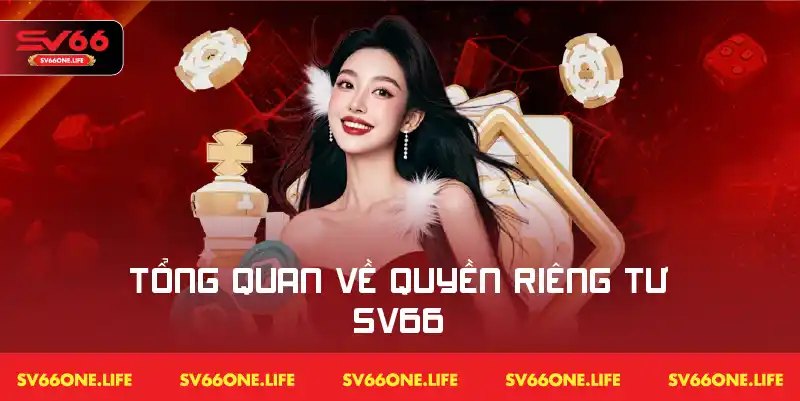 Khái quát các chính quyền riêng tư tại SV66